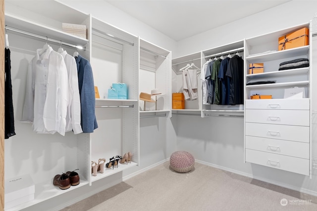 walk in closet with carpet floors