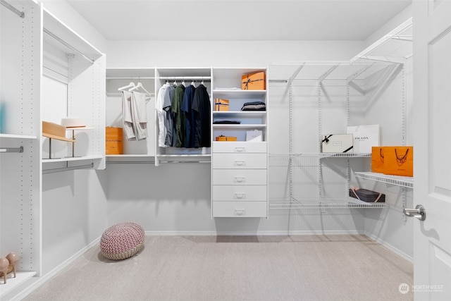 walk in closet featuring carpet