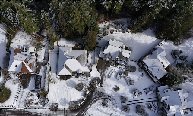 view of snowy aerial view