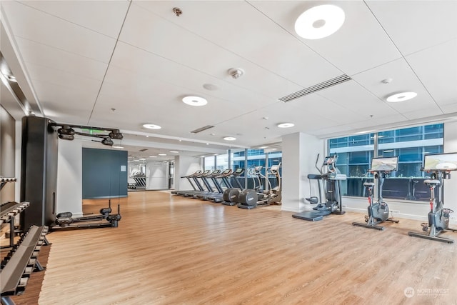 workout area featuring hardwood / wood-style flooring