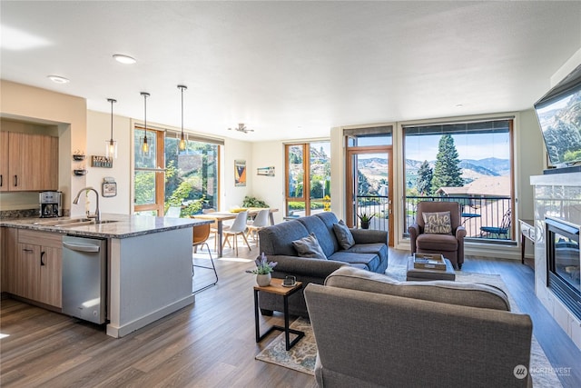 living room featuring sink, dark wood-type flooring, and a wall of windows