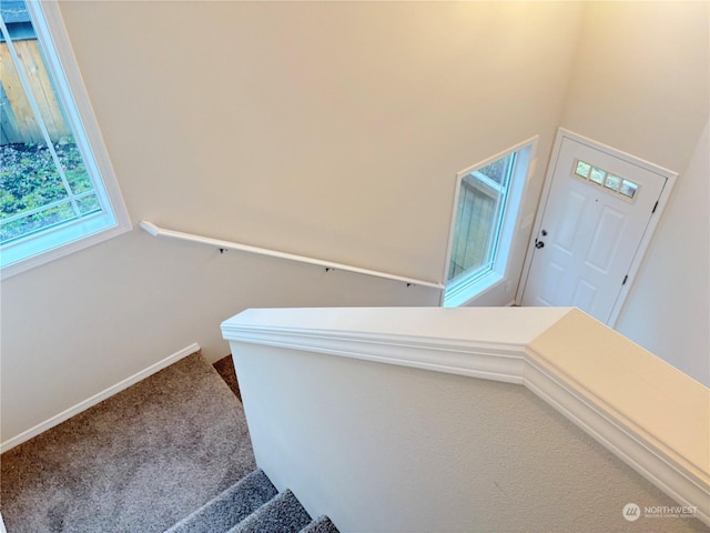 staircase featuring carpet