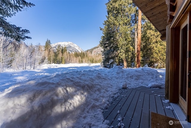 yard layered in snow with a mountain view