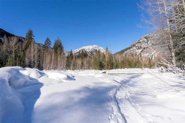 view of mountain feature