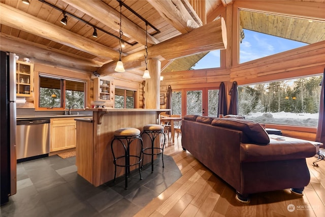 kitchen with hanging light fixtures, appliances with stainless steel finishes, a healthy amount of sunlight, and wooden ceiling