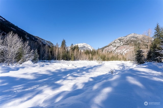 property view of mountains