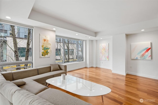 living room with a raised ceiling and hardwood / wood-style floors