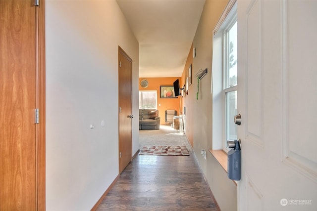 corridor featuring dark hardwood / wood-style floors