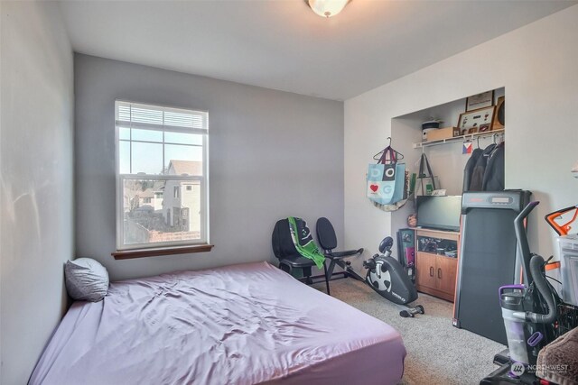 bedroom featuring carpet flooring