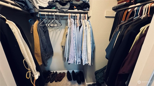 spacious closet featuring carpet flooring