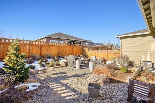 view of yard featuring a patio