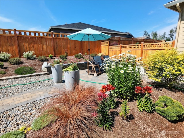 view of yard featuring a patio area