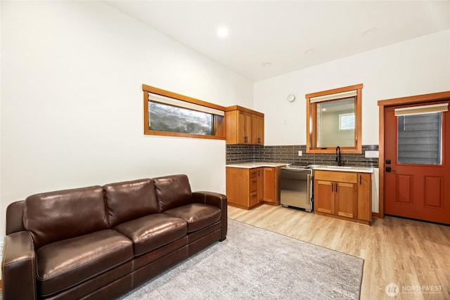 interior space featuring sink and light hardwood / wood-style floors