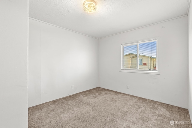 carpeted empty room featuring a textured ceiling