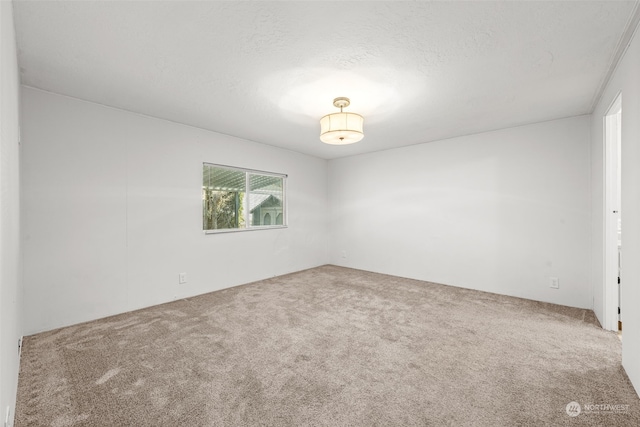 unfurnished room featuring carpet and a textured ceiling