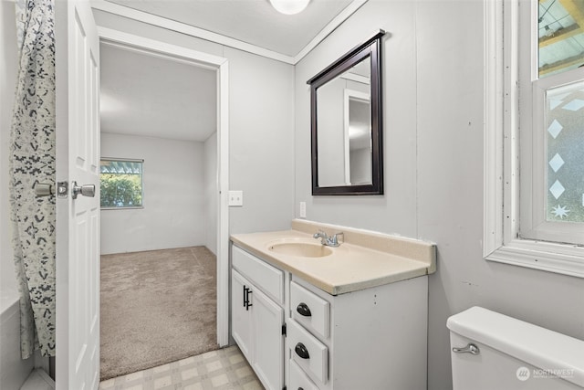 bathroom with vanity and toilet