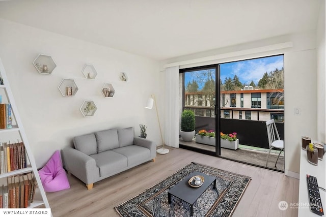 living room with light wood-type flooring