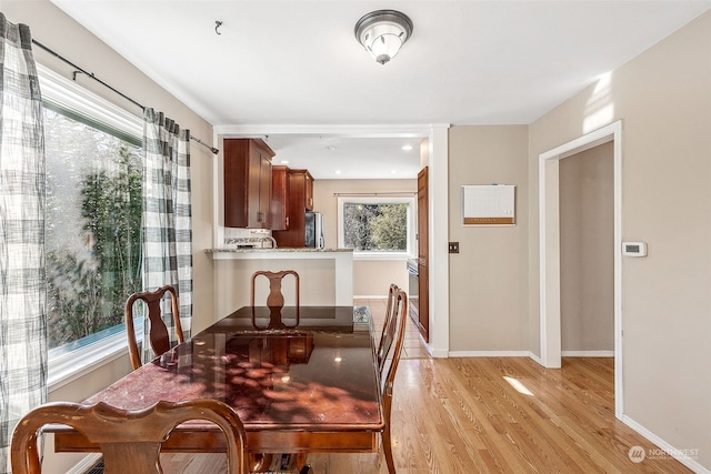 dining space with light hardwood / wood-style flooring