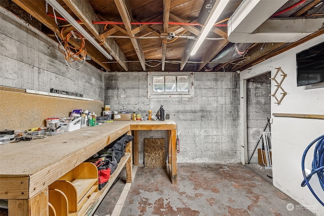 basement with a workshop area