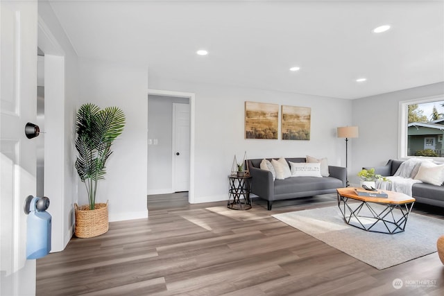 living room featuring hardwood / wood-style floors