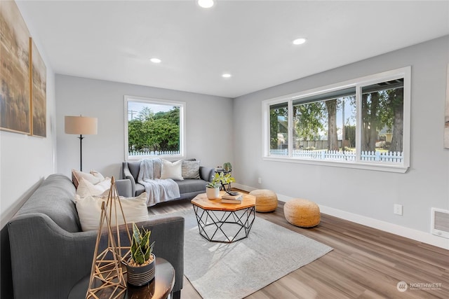 living room with hardwood / wood-style flooring and a wealth of natural light