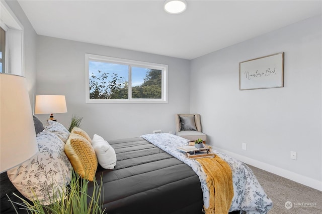 bedroom with carpet flooring