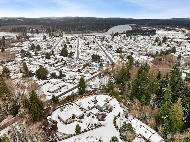 912 Bell Dr, Cosmopolis, WA 98537 - birds eye view of property with a water view