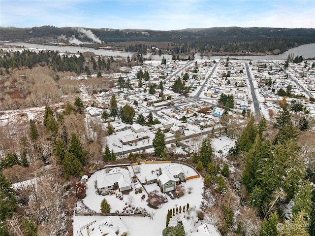 912 Bell Dr, Cosmopolis, WA 98537 - bird's eye view featuring a water view and a view of trees