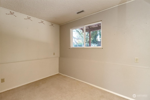 spare room with light carpet and a textured ceiling