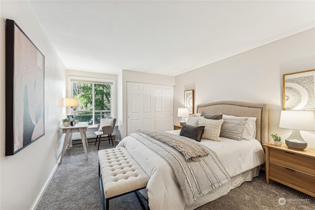 carpeted bedroom with baseboard heating and a closet