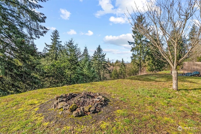 view of yard with an outdoor fire pit