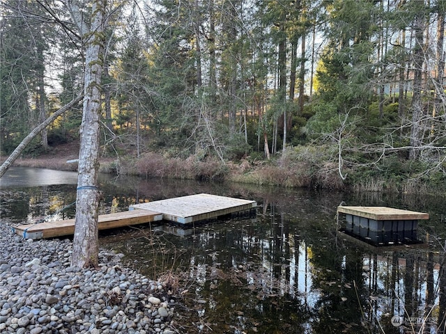 view of dock with a water view