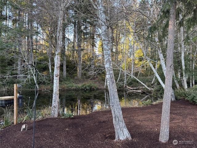 view of landscape featuring a water view