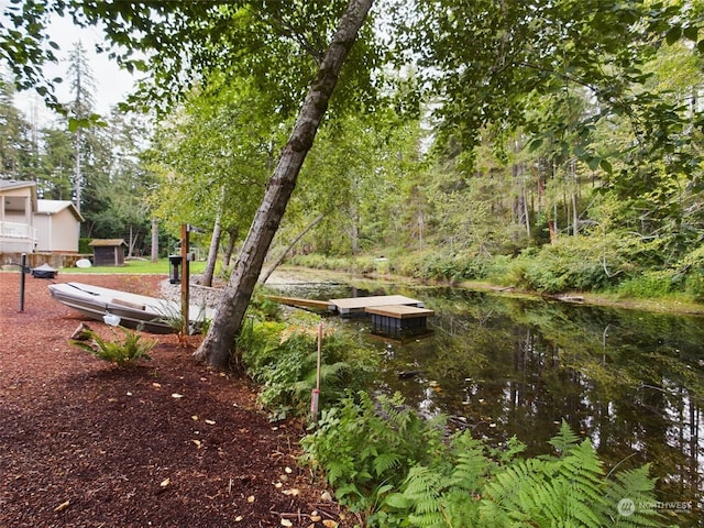 view of community with a boat dock