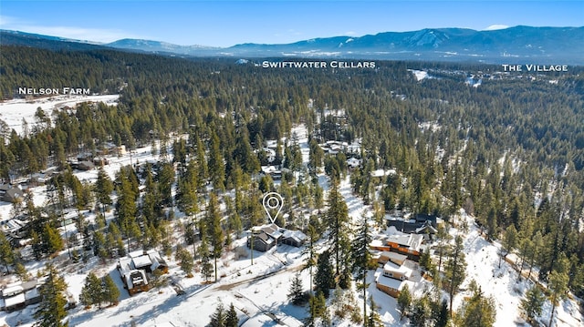 snowy aerial view featuring a mountain view