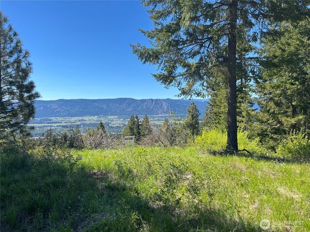 39 Forest Ridge Dr, Cle Elum, WA 98922