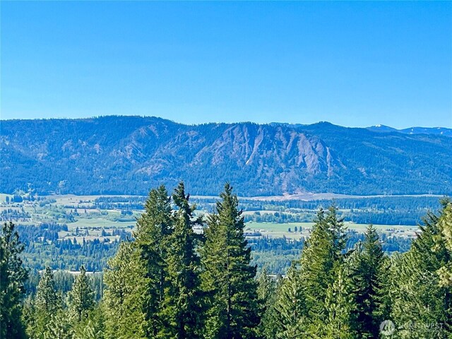 39 Forest Ridge Dr, Cle Elum, WA 98922