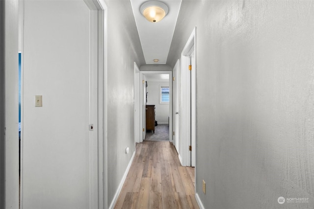 hall featuring light hardwood / wood-style floors