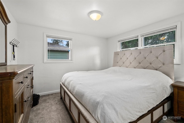 carpeted bedroom with multiple windows