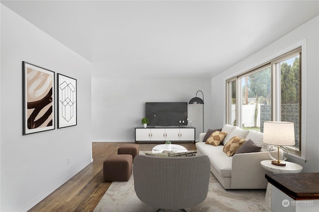 living room with hardwood / wood-style flooring