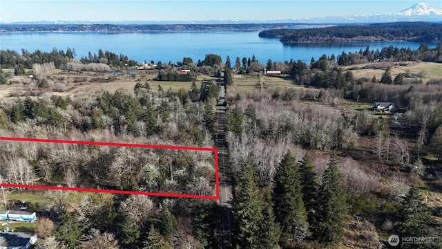 14817 24th St SW, Lakebay WA, 98349 land for sale