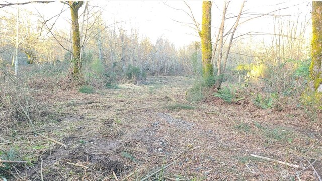 14817 24th St SW, Lakebay, WA 98349 - photo 4