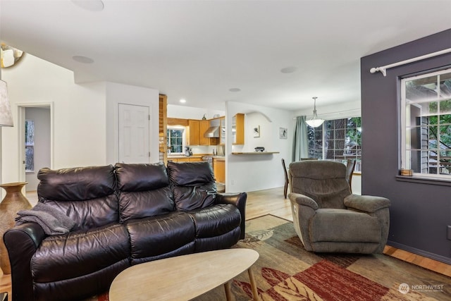 living room featuring light hardwood / wood-style flooring