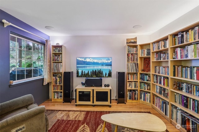 sitting room with wood-type flooring