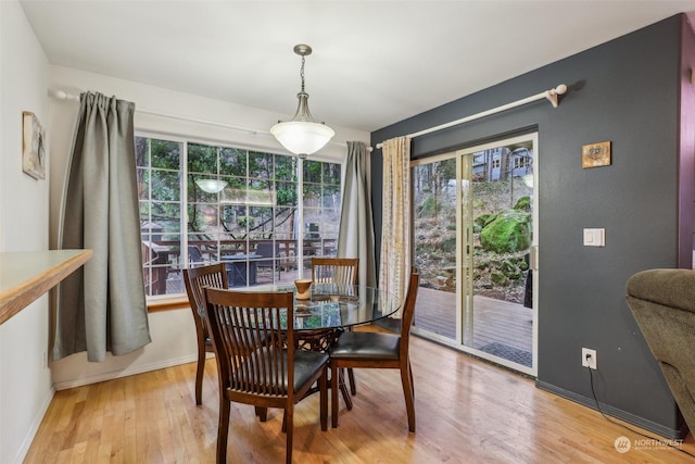 dining room with light hardwood / wood-style floors