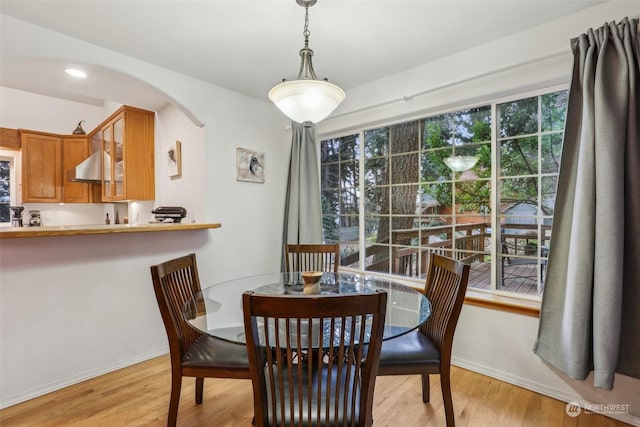 dining space featuring light hardwood / wood-style floors