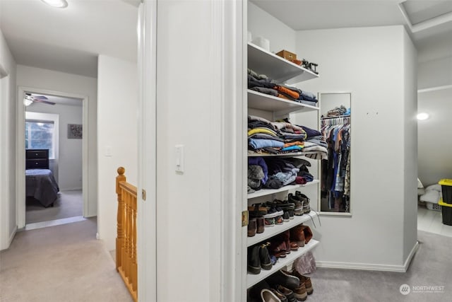 spacious closet featuring light colored carpet