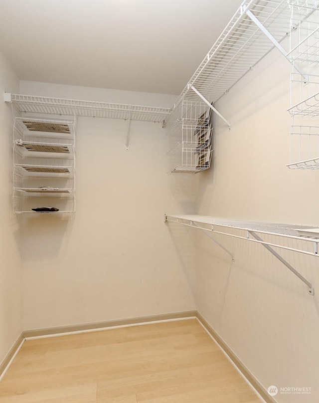 walk in closet with hardwood / wood-style flooring