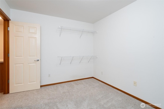 spacious closet with carpet floors