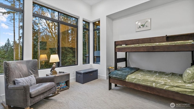 carpeted bedroom with multiple windows